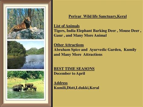 Top 05 Wildlife Sanctuaries In India