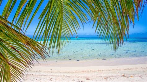 What Are the Best Beaches in Belize? - Next Vacay