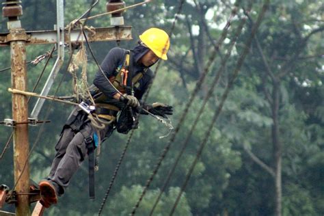 Pln Sebut Pmn Rp T Pada Untuk Elektrifikasi Di Wilayah T