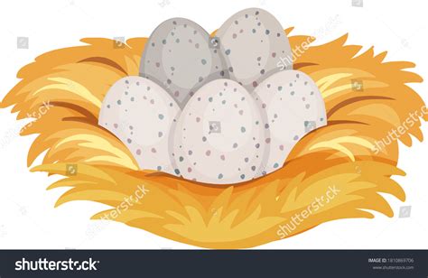 14,372 Nest Eggs Drawing Images, Stock Photos & Vectors | Shutterstock