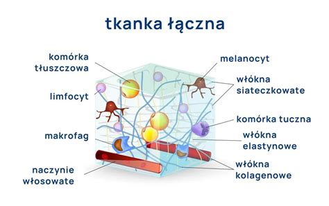 Choroby układowe tkanki łącznej objawy badania leczenie