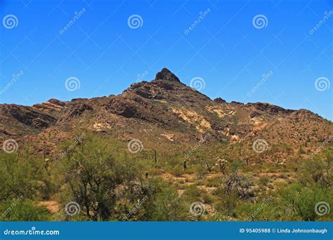 Pinkley Peak In Organ Pipe Cactus National Monument Stock Photo Image