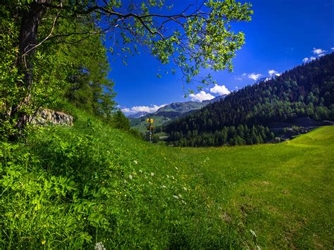 Images Alps Switzerland Marmorera Graubuenden Nature X