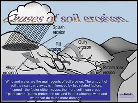 Causes Of Soil Erosion