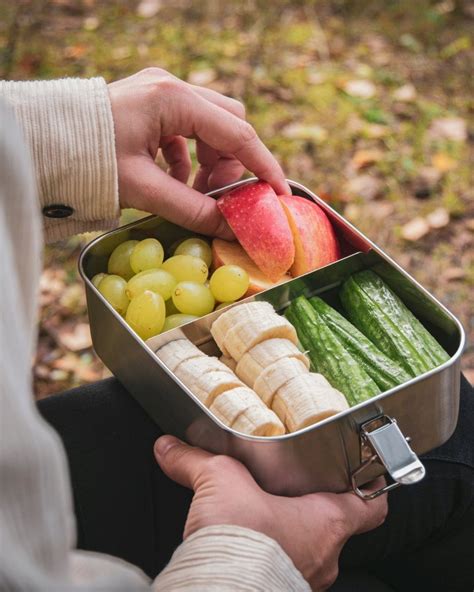 Pandoo Stainless Steel Lunchbox Ecosplendo Online Shop International