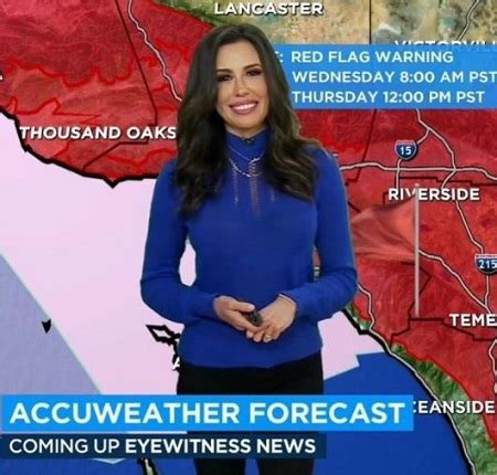 ABC7 meteorologist Leslie Lopez is married to pilot Michael Boos.