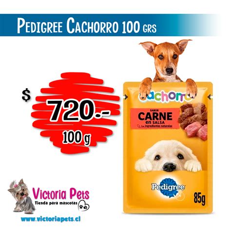 Sobre Pedigree Cachorro Victoria Pets Todo Para Tu Mascota