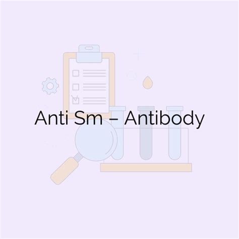 Anti Sm – Antibody – Medha Diagnostics Nellore