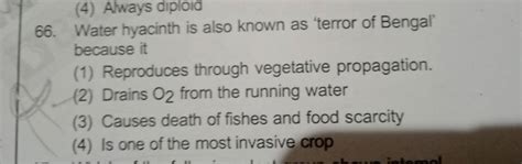 Water Hyacinth Is Also Known As Terror Of Bengal Because It Filo