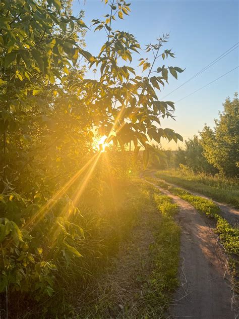 Рассвет в деревне Beautiful nature Scenery Nature