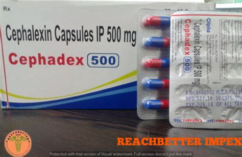 500 Mg Cephadex Capsules IP At Rs 500 Pack In Nagpur ID 26075057173