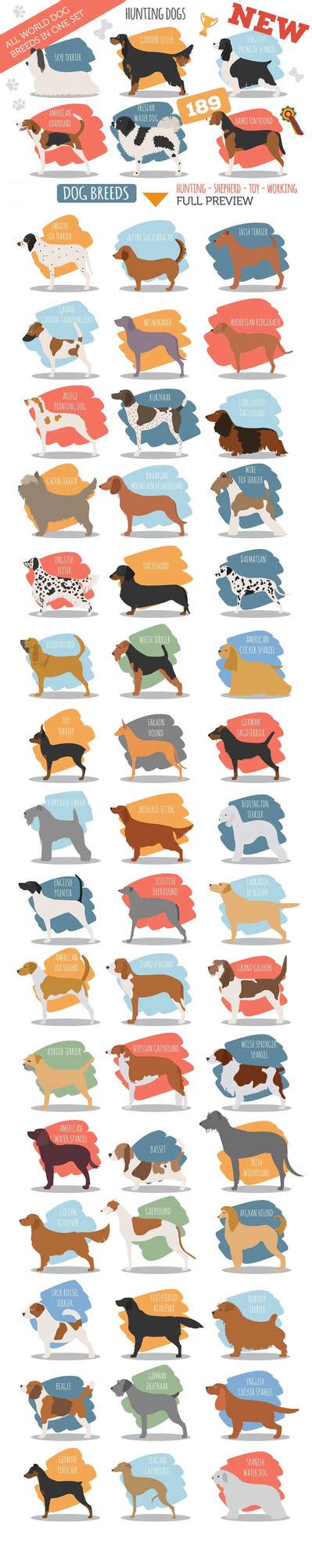 All world DOG BREEDS in one set by Roundicons on DeviantArt