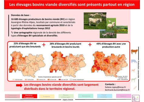 Les Levages Bovins Viande Diversifi S Sont Pr Sents Partout En R Gion