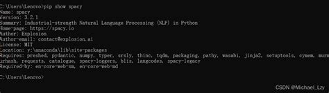 Spacy包安装问题 Python M Spacy Download En Csdn博客