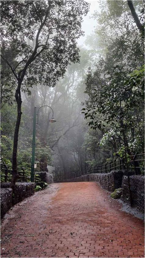 Bengaluru City Weather June 10 Warm Start At 24 Degrees Heavy Rains