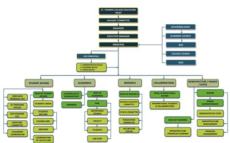 Organogram St Thomas College Autonomous