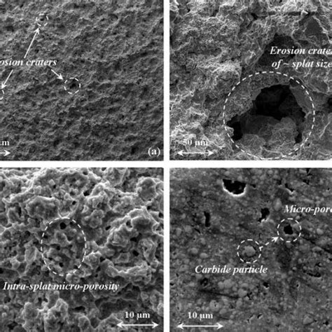 A SEM Top View Micrograph Of The Eroded Surface Of The 100 WC Co Cr