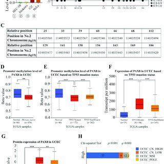 Relationship Between Methylation Level Of Pax And Tp Mutation Cnh