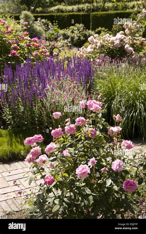 The Rose Garden in late June at Sissinghurst Castle Garden where a new ...