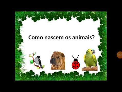 Como Nascem Os Animais Youtube