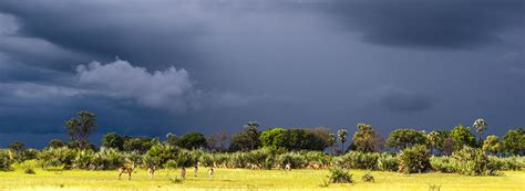 Being a Wildlife Photographer in Africa - Tim Driman Photography