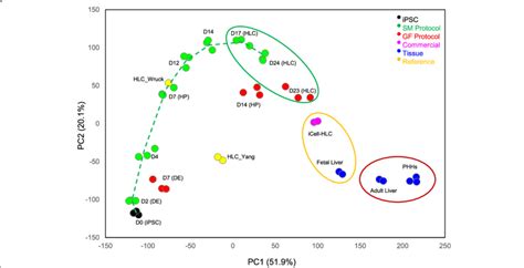 Principal Component Analysis Pca Plot Showing The Differentiation Download Scientific Diagram