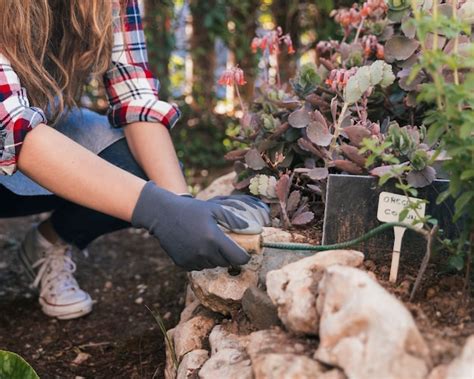 Page Images De Fertiliser Votre Jardin Naturellement