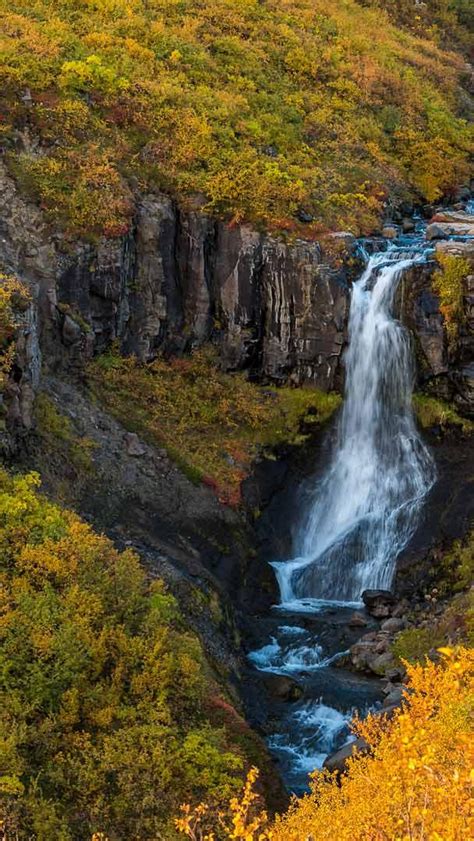 Bing HD Wallpaper Sep 24 2024 Skaftafell Vatnajökull National Park