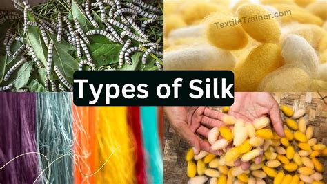 Best 10 Different Types Of Silk In The World Textile Trainer