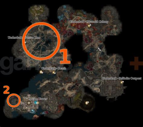 Sussur Bloom Locations And Uses In Baldur S Gate Gamesradar