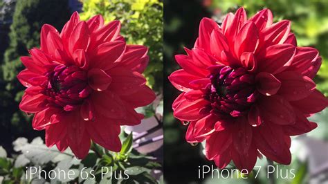 Iphone Vs S Camera Test Comparison Youtube