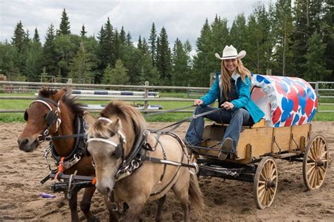 Throwback Thursday: Horses - Blog - Heartland | Heartland seasons ...