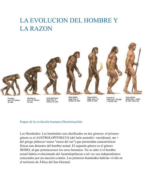 La Evolucion Del Hombre Y La Razon English Verbs Evolution Infographic