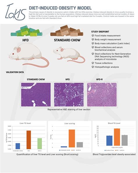 Diet Induced Obesity Model