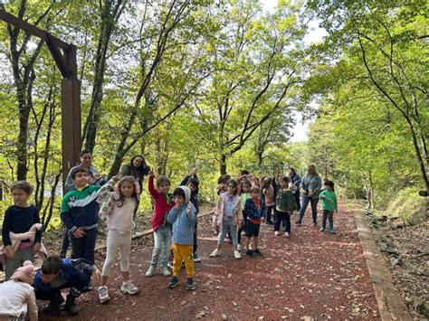 Yaşam Becerileri Kampımızı Belgrad Ormanında Yaptık İELEV Okulları