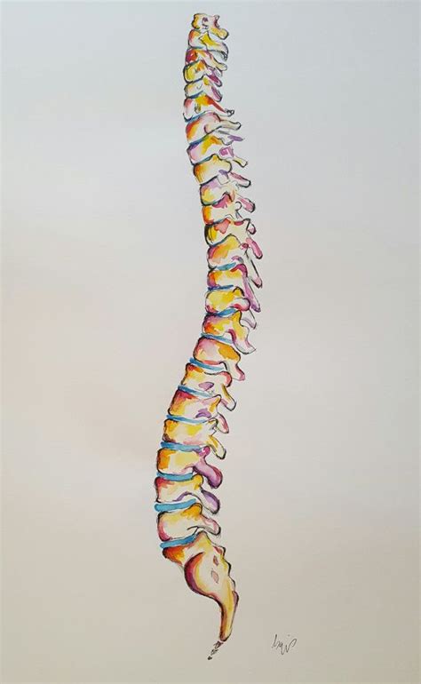 Spine Drawings