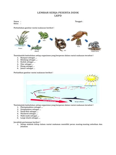 Lkpd Rantai Makanan Pdf