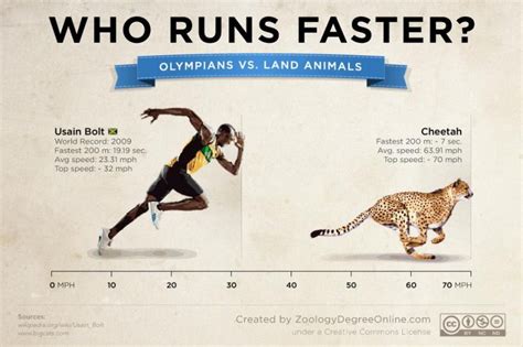 Cheetah outruns humans and challenges machines