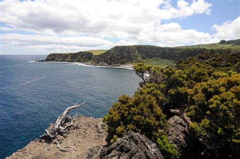 Investigadores V O Avaliar Impactos Da Minera O Em Mar Profundo Nos