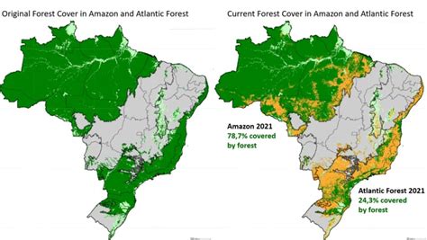 Lições de governança da Mata Atlântica para a preservação da Amazônia