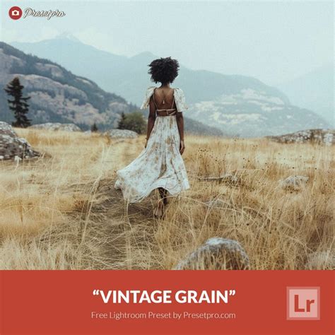 Free Lightroom Preset Vintage Grain Presetpro