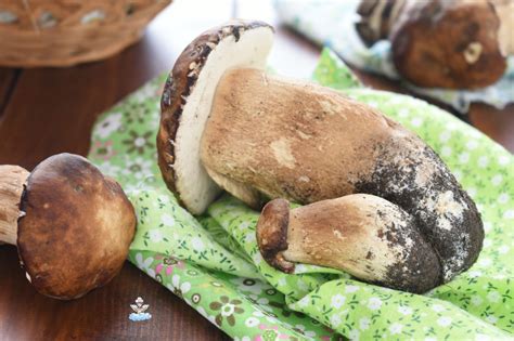 Come Congelare I Funghi Porcini Cucina Serafina