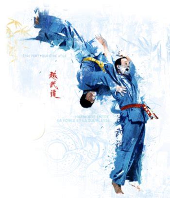 Vovinam Viet Vo Dao