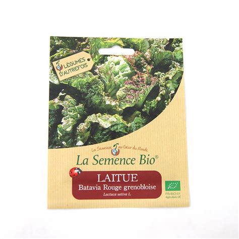 Culture Indoor Mat Riel De Jardinage Graines Bio Laitue Batavia