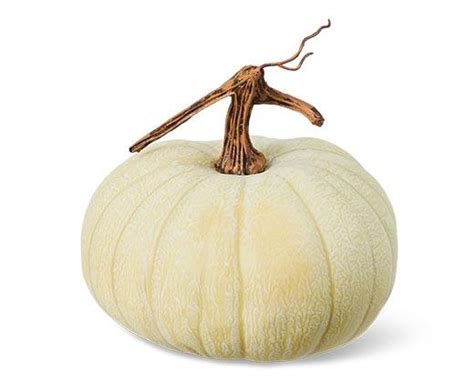 Huntington Home Faux Pumpkin Aldi — Usa Specials Archive