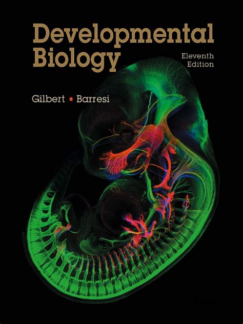 Developmental Biology Reproduction Biological Processes