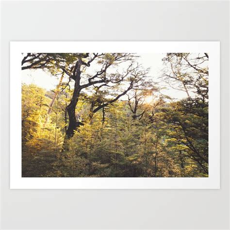 Forest Landscape Trees Nature Photography Art Print by Joshua Small ...