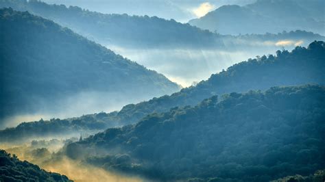 Take A Drive Through Beautiful Forest Landscapes On This US Road Trip Route