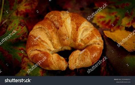 Normal Croissant Another Integral Autumn Still Stock Photo 2224496551 ...