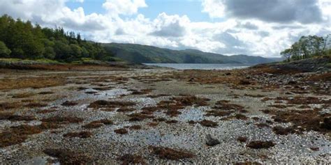 Salen, Resipole and The Garbh Eilean Wildlife Hide | Wild About Ardnamurchan